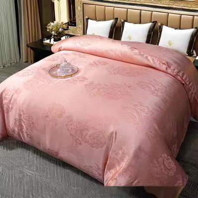 Modern Style Organic Soft Warm 100% Pure Silk Quilt 